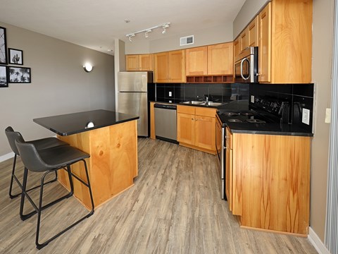 Model Suite Updated Kitchen with All New LVT Hard Surface Flooring - Stonebridge Waterfront in Flats District Cleveland OH